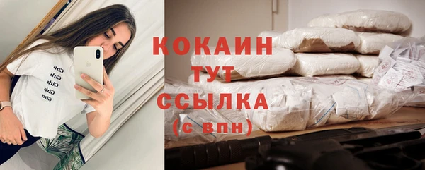 мяу мяу мука Алзамай